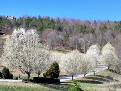 Union County - Photo 2
