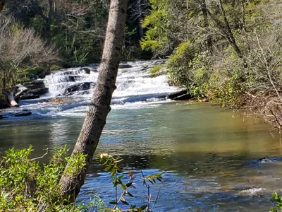 White County - Photo 2