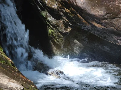 White County - Photo 3