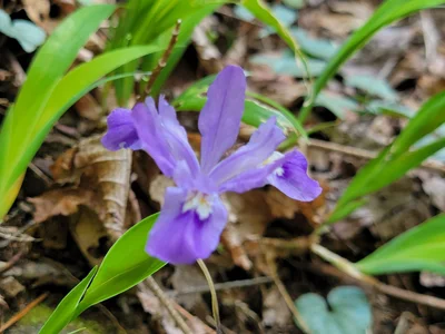 White County - Photo 5