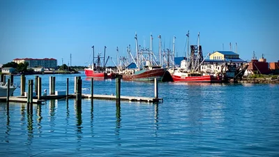 Beaufort - Photo 3