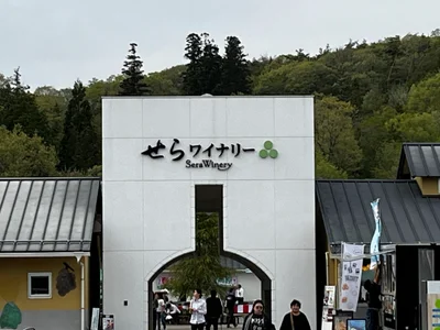 Sera - Photo 4