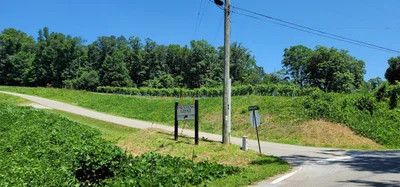 Ellijay - Photo 4
