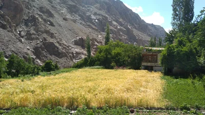 Dah - Photo 5