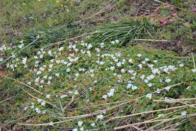 Minamiizu - Photo 4