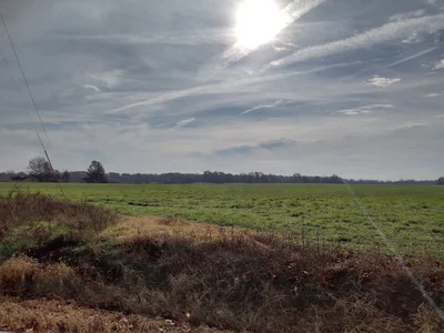 Phillips County - Photo 4