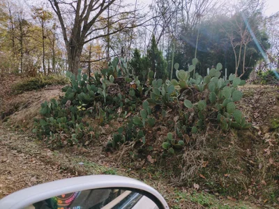 Phillips County - Photo 5