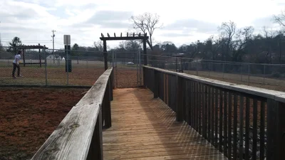 Anderson County - Photo 4
