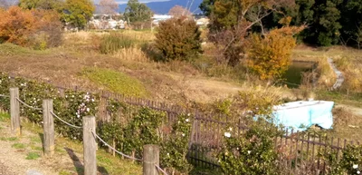 Koryo - Photo 2