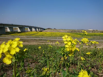 Meiwa - Photo 2