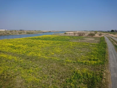 Meiwa - Photo 3