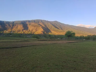 Darpora - Photo 3