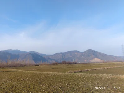 Darpora - Photo 4