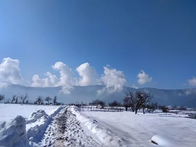 Darpora - Photo 5