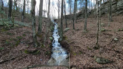 Chattooga County - Photo 2