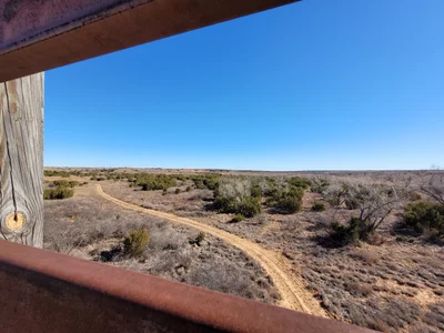 Briscoe County - Photo 3
