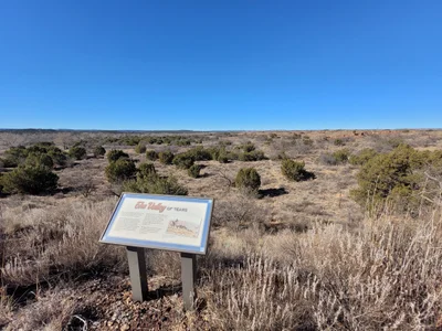 Briscoe County - Photo 5
