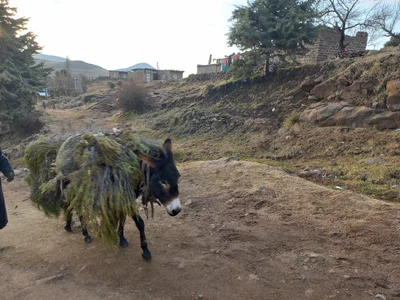 Semonkong - Photo 3
