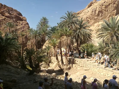Tamerza - Photo 2
