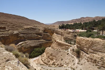 Tamerza - Photo 5