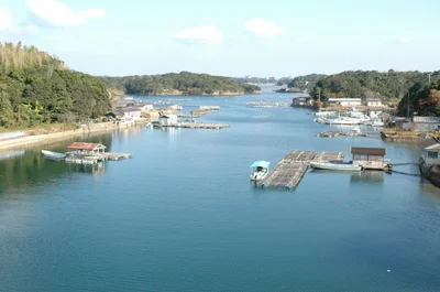 Shima - Photo 5