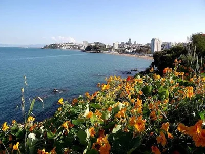 Annaba - Photo 4