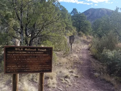 Catron County - Photo 3