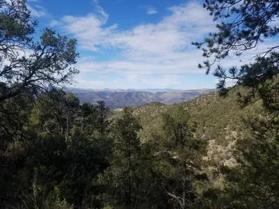 Catron County - Photo 4