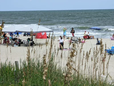 New Hanover County - Photo 2