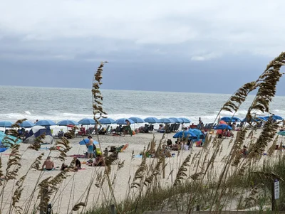 New Hanover County - Photo 3