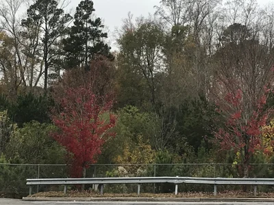Newberry - Photo 2
