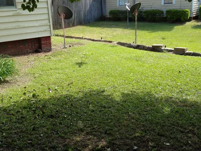 Newberry - Photo 3