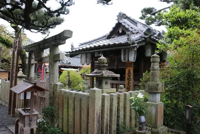 Kudoyama - Photo 4