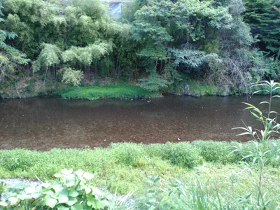 Tenkawa - Photo 2