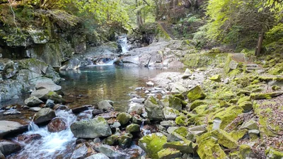 Tenkawa - Photo 5
