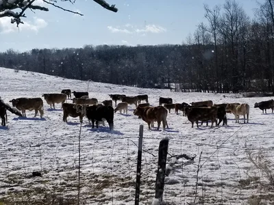Forsyth County - Photo 5
