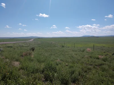 Springerville - Photo 2