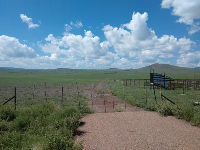 Springerville - Photo 3