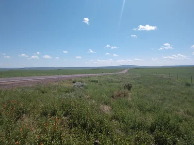 Springerville - Photo 5