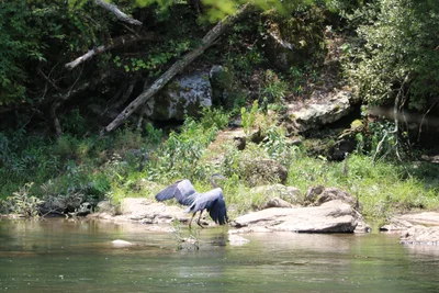 McCurtain County - Photo 2
