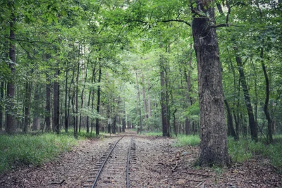 McCurtain County - Photo 3
