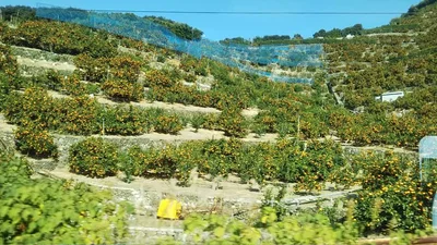 Aridagawa - Photo 3
