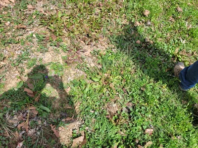 Milton - Photo 3