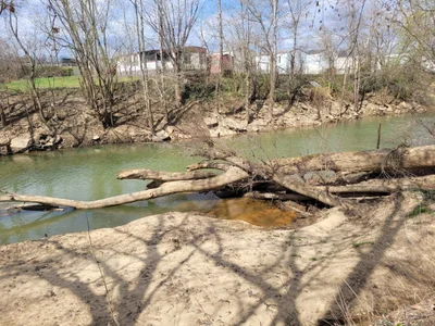 Milton - Photo 5