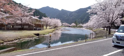 Shimokitayama - Photo 2