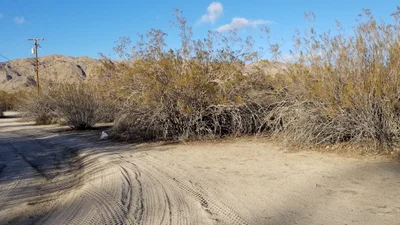 Morongo Valley - Photo 3