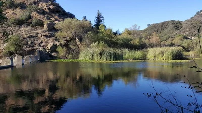 Unincorporated Santa Monica Mountains - Photo 4