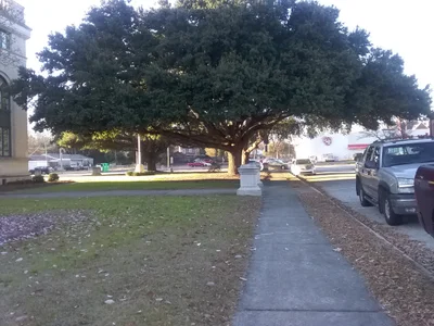 Sumter - Photo 2