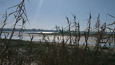 Mezraya - Photo 2