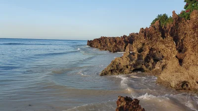 Pemba - Photo 5